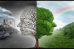 Servesify | Environmental